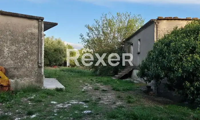 Rexer-Buonalbergo-Masseria-in-vendita-in-Contrada-Monte-Maruzzo-a-Buonalbergo-Altro