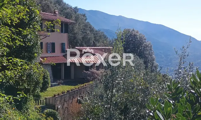 Rexer-Camaiore-Villa-vista-mare-con-piscina-e-terreni-oltre-dependance-Altro