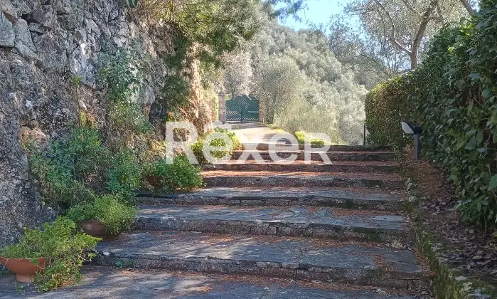 Rexer-Camaiore-Villa-vista-mare-con-piscina-e-terreni-oltre-dependance-Altro