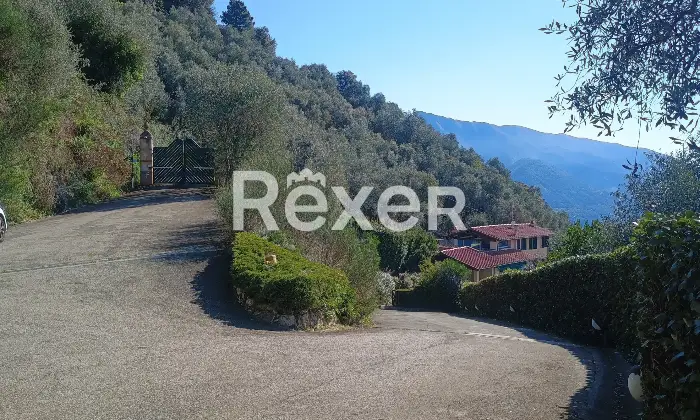 Rexer-Camaiore-Villa-vista-mare-con-piscina-e-terreni-oltre-dependance-Altro