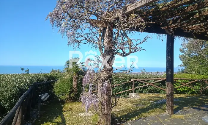 Rexer-Camaiore-Villa-vista-mare-con-piscina-e-terreni-oltre-dependance-Altro