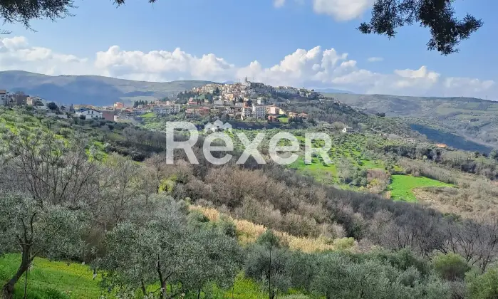 Rexer-Ripacandida-Appartamento-in-vendita-in-Viale-Regina-Margherita-Ripacandida-Altro