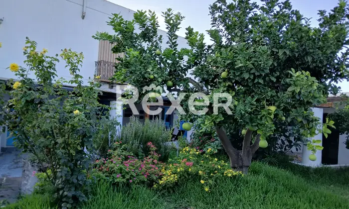 Rexer-Stromboli-Casa-eoliana-a-Scari-Stromboli-Tramonto-mare-e-vita-di-paese-in-un-unico-luogo-magico-Altro