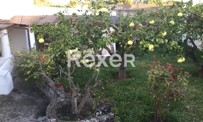 Rexer-Stromboli-Casa-eoliana-a-Scari-Stromboli-Tramonto-mare-e-vita-di-paese-in-un-unico-luogo-magico-Altro