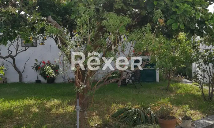 Rexer-Stromboli-Casa-eoliana-a-Scari-Stromboli-Tramonto-mare-e-vita-di-paese-in-un-unico-luogo-magico-Altro