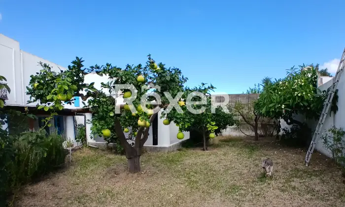 Rexer-Stromboli-Casa-eoliana-a-Scari-Stromboli-Tramonto-mare-e-vita-di-paese-in-un-unico-luogo-magico-Altro