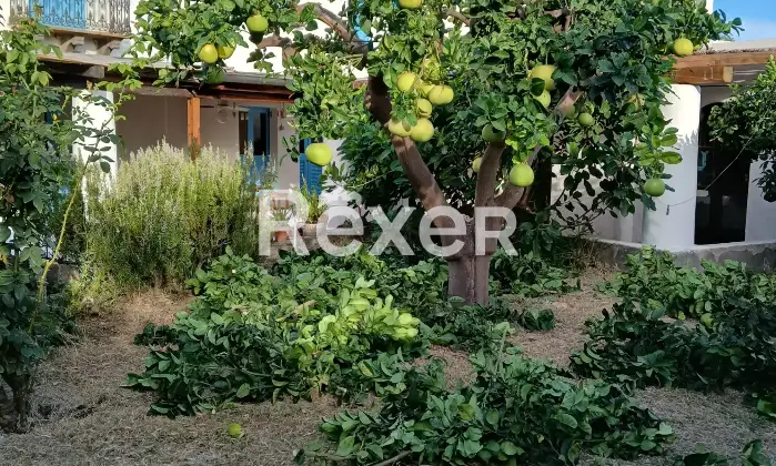 Rexer-Stromboli-Casa-eoliana-a-Scari-Stromboli-Tramonto-mare-e-vita-di-paese-in-un-unico-luogo-magico-Altro