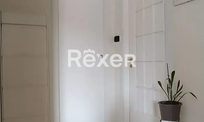 Rexer-Potenza-Appartamento-Zona-Stadio-Disimpegno