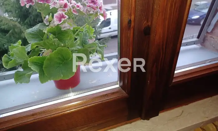 Rexer-Reggio-Emilia-Appartamento-con-ampio-terrazzo-verandato-cortile-e-garage-Altro