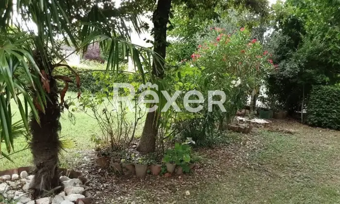 Rexer-Carpi-Hai-un-sogno-Casa-di-campagna-con-deposito-Giardino