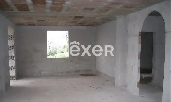 Rexer-Cicerale-Grezzo-gi-diviso-da-finire-Cicerale-Altro