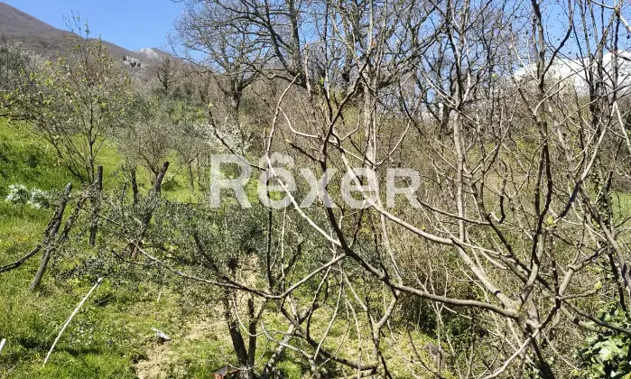 Rexer-Cusano-Mutri-Casa-indipendente-in-vendita-in-contrada-San-Giuseppe-a-Cusano-Mutri-Altro