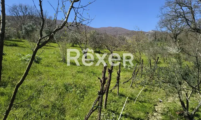 Rexer-Cusano-Mutri-Casa-indipendente-in-vendita-in-contrada-San-Giuseppe-a-Cusano-Mutri-Altro