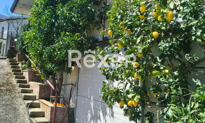 Rexer-Cusano-Mutri-Casa-indipendente-in-vendita-in-contrada-San-Giuseppe-a-Cusano-Mutri-Altro