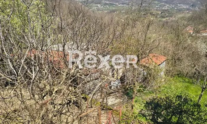 Rexer-Cusano-Mutri-Casa-indipendente-in-vendita-in-contrada-San-Giuseppe-a-Cusano-Mutri-Altro