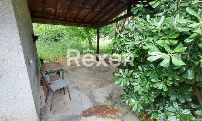 Rexer-Supino-Supino-SSebastiano-Giardino