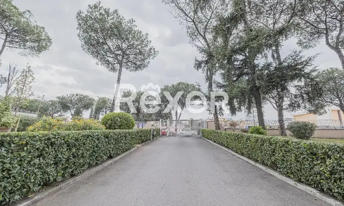 Rexer-Roma-Appartamento-ultimo-piano-di-ampia-metratura-con-terrazzi-Altro