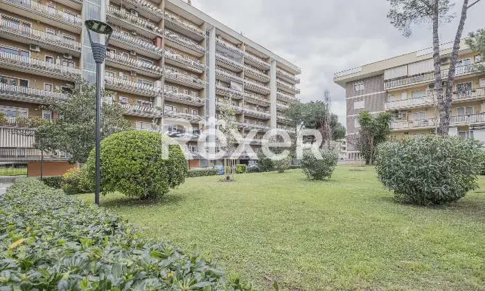 Rexer-Roma-Appartamento-ultimo-piano-di-ampia-metratura-con-terrazzi-Altro