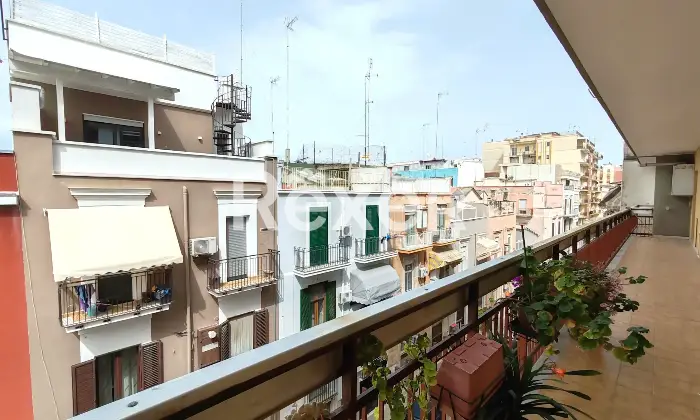 Rexer-Barletta-Esavano-in-vendita-Altro