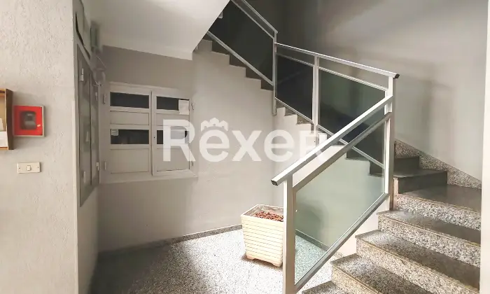 Rexer-Barletta-Esavano-in-vendita-Altro