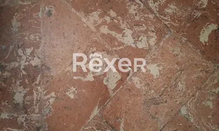 Rexer-Sala-Comacina-Appartamento-fronte-lago-con-giardinetto-Altro