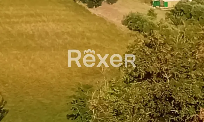 Rexer-San-Giorgio-di-Pesaro-Casa-indipendente-storica-in-Via-S-Giorgio-Castello-a-San-Giorgio-di-Pesaro-Altro