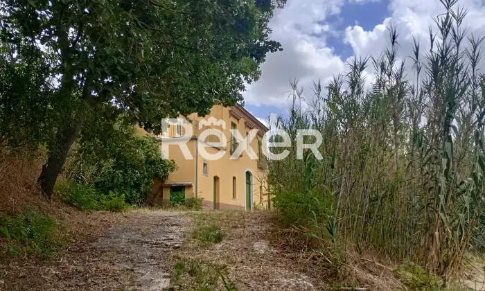 Rexer-Forenza-Tenuta-di-campagna-con-ettari-di-terreno-e-uliveto-a-Forenza-Altro