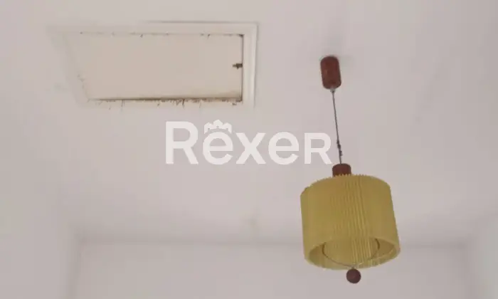 Rexer-Forenza-Tenuta-di-campagna-con-ettari-di-terreno-e-uliveto-a-Forenza-Altro