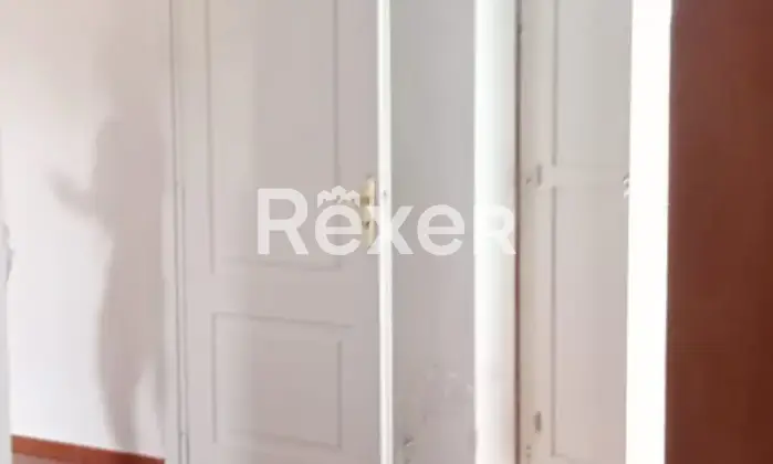 Rexer-Forenza-Tenuta-di-campagna-con-ettari-di-terreno-e-uliveto-a-Forenza-Altro