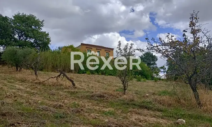 Rexer-Forenza-Tenuta-di-campagna-con-ettari-di-terreno-e-uliveto-a-Forenza-Altro