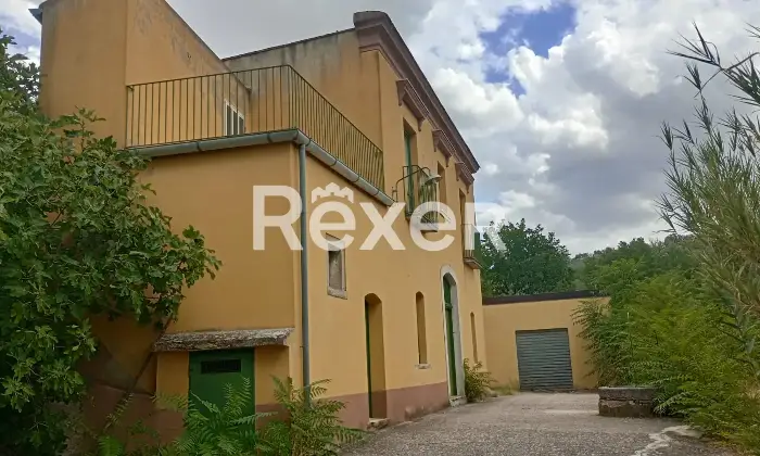 Rexer-Forenza-Tenuta-di-campagna-con-ettari-di-terreno-e-uliveto-a-Forenza-Altro