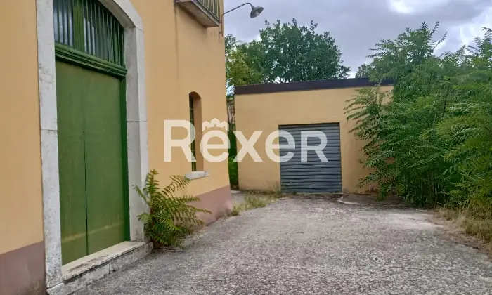 Rexer-Forenza-Tenuta-di-campagna-con-ettari-di-terreno-e-uliveto-a-Forenza-Altro