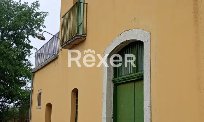 Rexer-Forenza-Tenuta-di-campagna-con-ettari-di-terreno-e-uliveto-a-Forenza-Altro