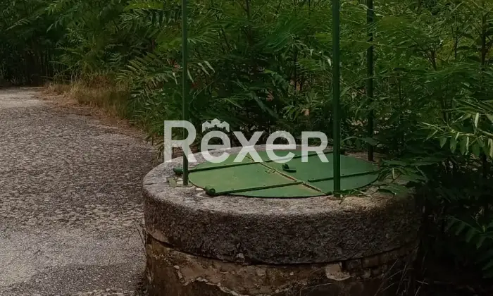 Rexer-Forenza-Tenuta-di-campagna-con-ettari-di-terreno-e-uliveto-a-Forenza-Altro