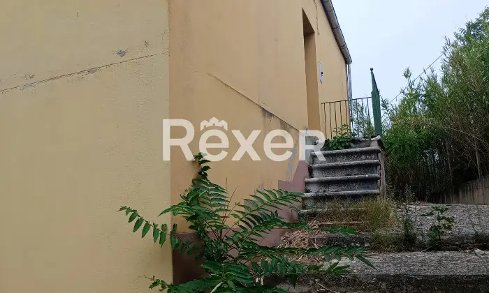 Rexer-Forenza-Tenuta-di-campagna-con-ettari-di-terreno-e-uliveto-a-Forenza-Altro