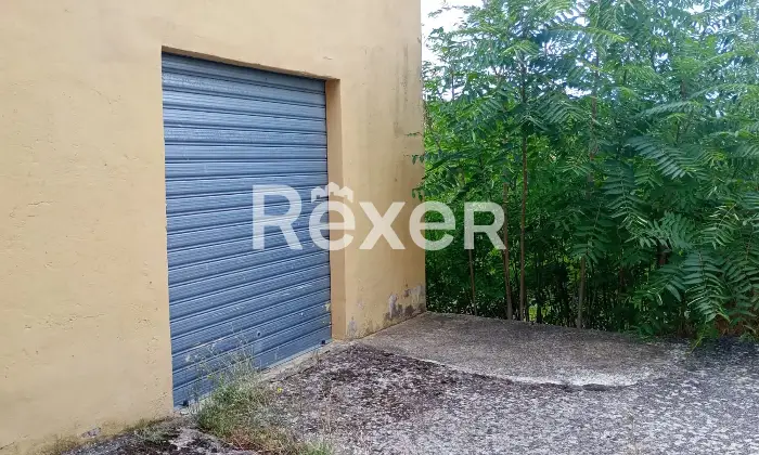 Rexer-Forenza-Tenuta-di-campagna-con-ettari-di-terreno-e-uliveto-a-Forenza-Altro