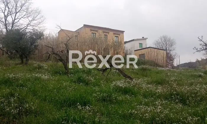 Rexer-Forenza-Tenuta-di-campagna-con-ettari-di-terreno-e-uliveto-a-Forenza-Altro