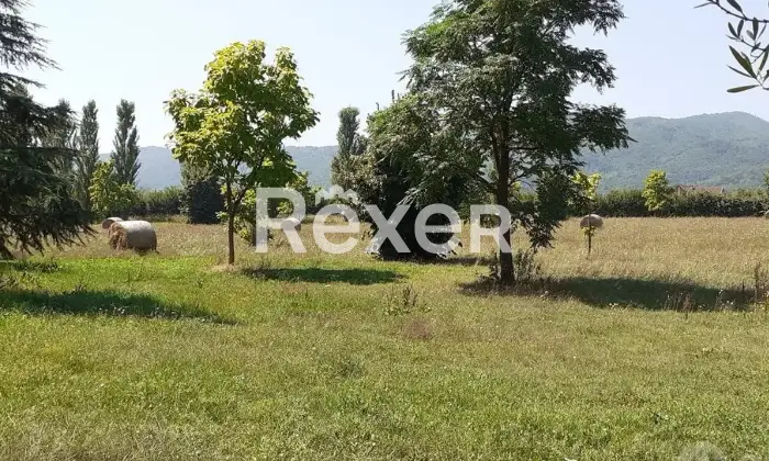 Rexer-Alvignano-Splendida-propriet-indipendente-con-mq-di-terreno-ad-Alvignano-Altro