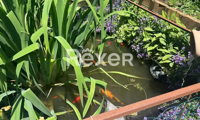 Rexer-Prati-Appartamento-su-due-piani-in-vendita-in-Via-Guido-Rossa-a-Prati-Castel-di-Casio-Altro