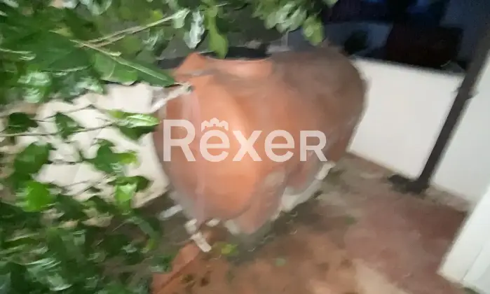 Rexer-San-Lorenzo-Casa-Vacanze-Marina-San-Lorenzo-Altro