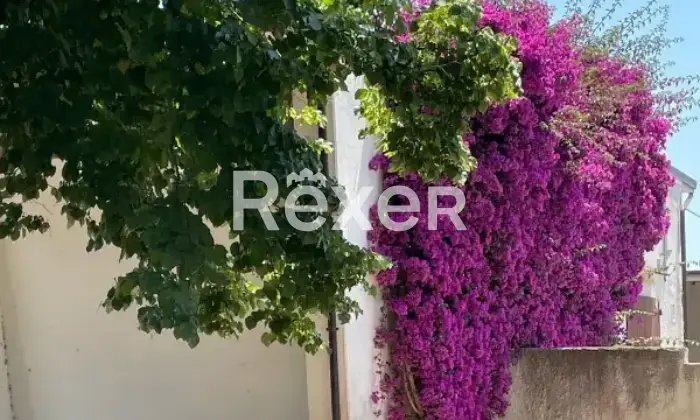 Rexer-Battipaglia-Villetta-a-schiera-in-vendita-in-via-Spineta-a-Battipaglia-Altro