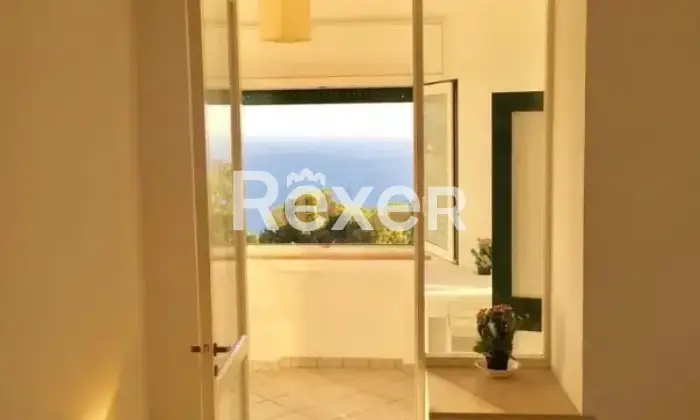 Rexer-Capri-Casa-indipendente-in-vendita-in-Via-Matermania-a-Capri-Altro