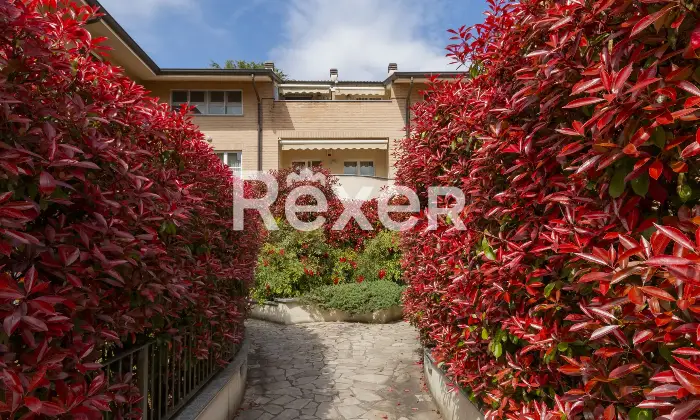 Rexer-Cernusco-sul-Naviglio-Appartamento-con-cantina-un-box-singolo-ed-un-box-doppio-Altro