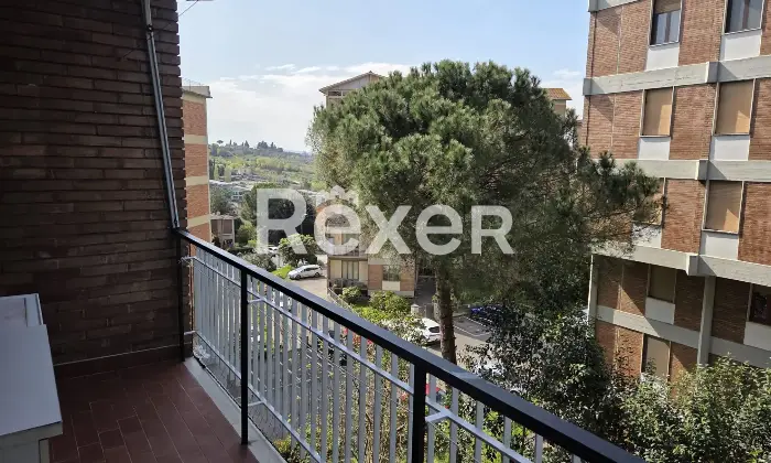 Rexer-Siena-Trilocale-ristrutturato-con-terrazzo-in-zona-servita-AcquacaldaPetriccio-Altro
