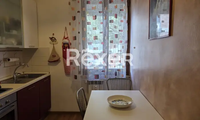 Rexer-Siena-Trilocale-ristrutturato-con-terrazzo-in-zona-servita-AcquacaldaPetriccio-Altro