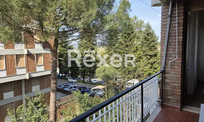 Rexer-Siena-Trilocale-ristrutturato-con-terrazzo-in-zona-servita-AcquacaldaPetriccio-Altro