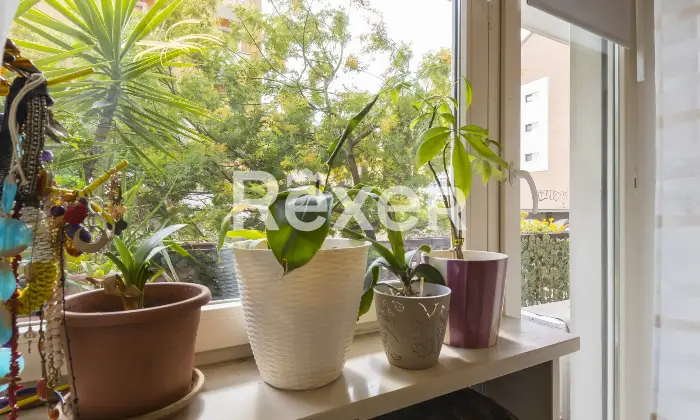 Rexer-Torino-Appartamento-in-Santa-Rita-Altro