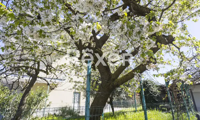 Rexer-Chieri-Appartamento-con-box-e-giardino-privato-Altro