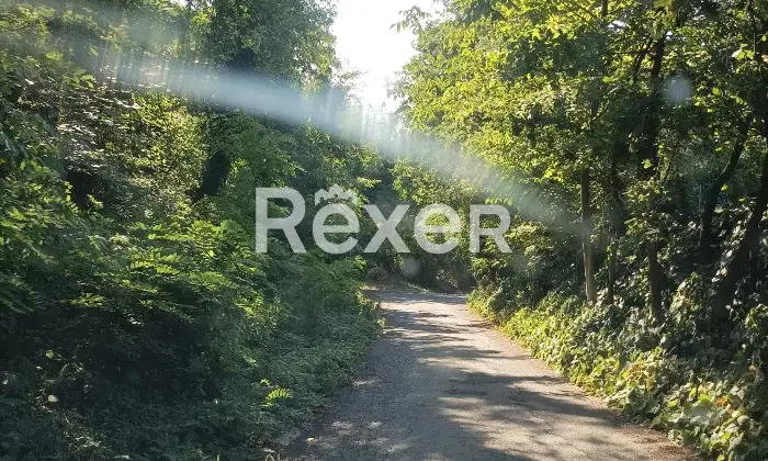 Rexer-Sassuolo-Rustico-in-vendita-in-via-Via-Casa-Pifferi-a-San-Michele-dei-Mucchietti-Sassuolo-Altro