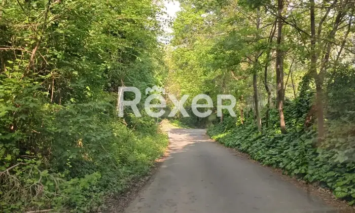 Rexer-Sassuolo-Rustico-in-vendita-in-via-Via-Casa-Pifferi-a-San-Michele-dei-Mucchietti-Sassuolo-Altro